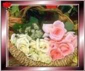 bouquet d'amitié fraternelle