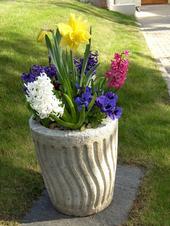 arrangement floral extérieur