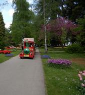 Morges petit train à l'expo des tulipes