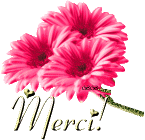tout simplement