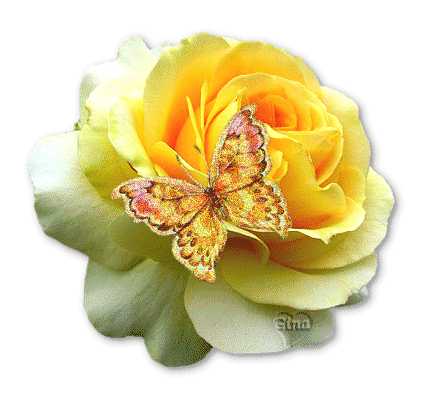 au printemps des papillons